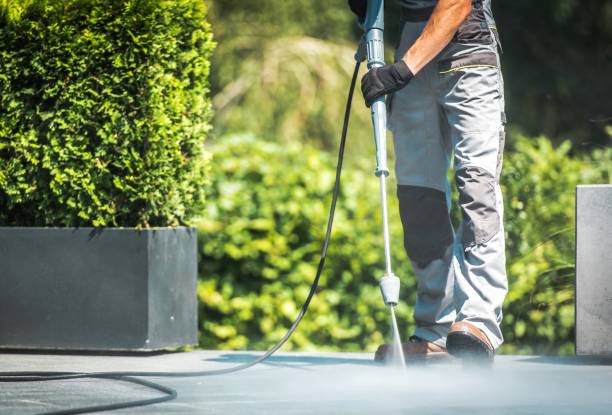 Best Dumpster Area Cleaning  in Newfoundland, NJ